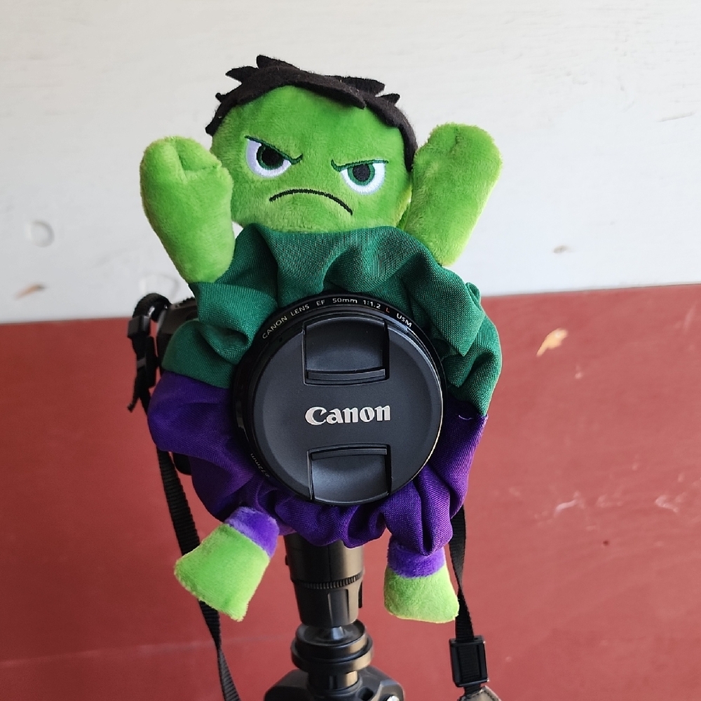 Hulk Shutter Hugger